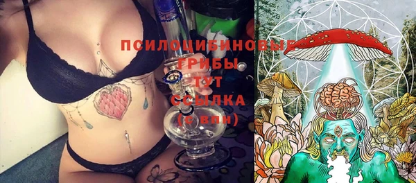 дмт Бугульма
