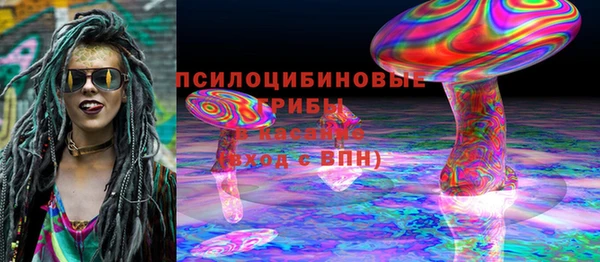 соль курить ск Бородино