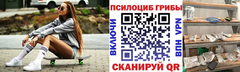 цена наркотик  Бугульма  Псилоцибиновые грибы Psilocybine cubensis 