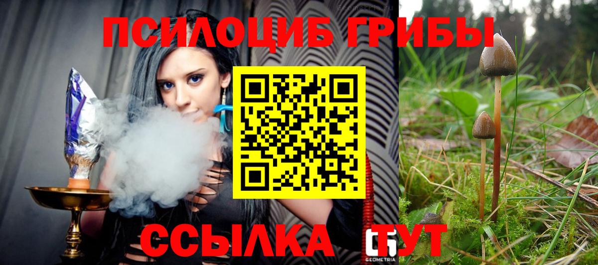 Галлюциногенные грибы Cubensis  купить  цена  Бугульма  Галлюциногенные грибы Magic Shrooms 