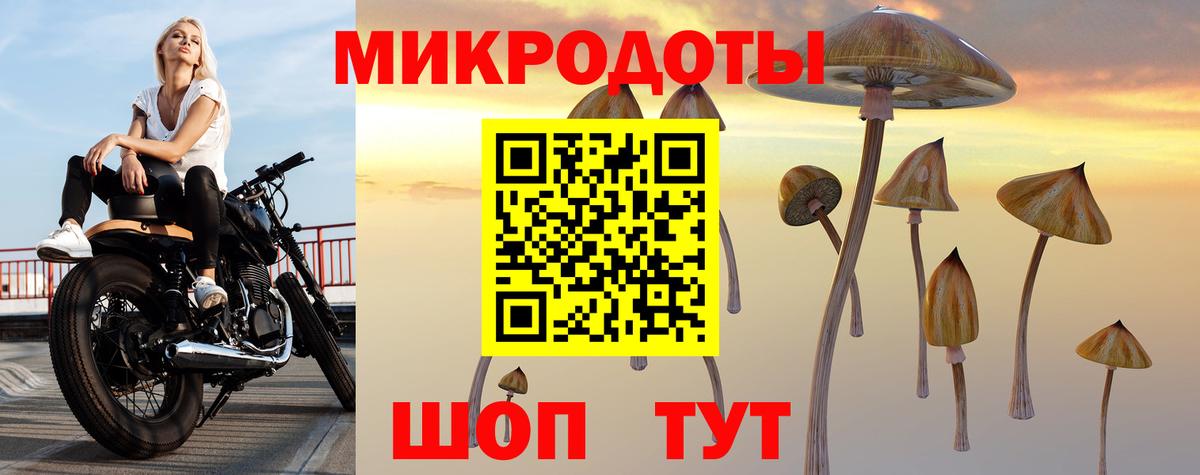 Псилоцибиновые грибы Magic Shrooms  Вход с VPN  Галлюциногенные грибы GOLDEN TEACHER  магазин продажи наркотиков  Бугульма 